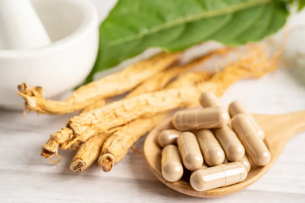 Dried Panax ginseng (nootropics for focus) herb with its capsules on a wooden spoon. 
