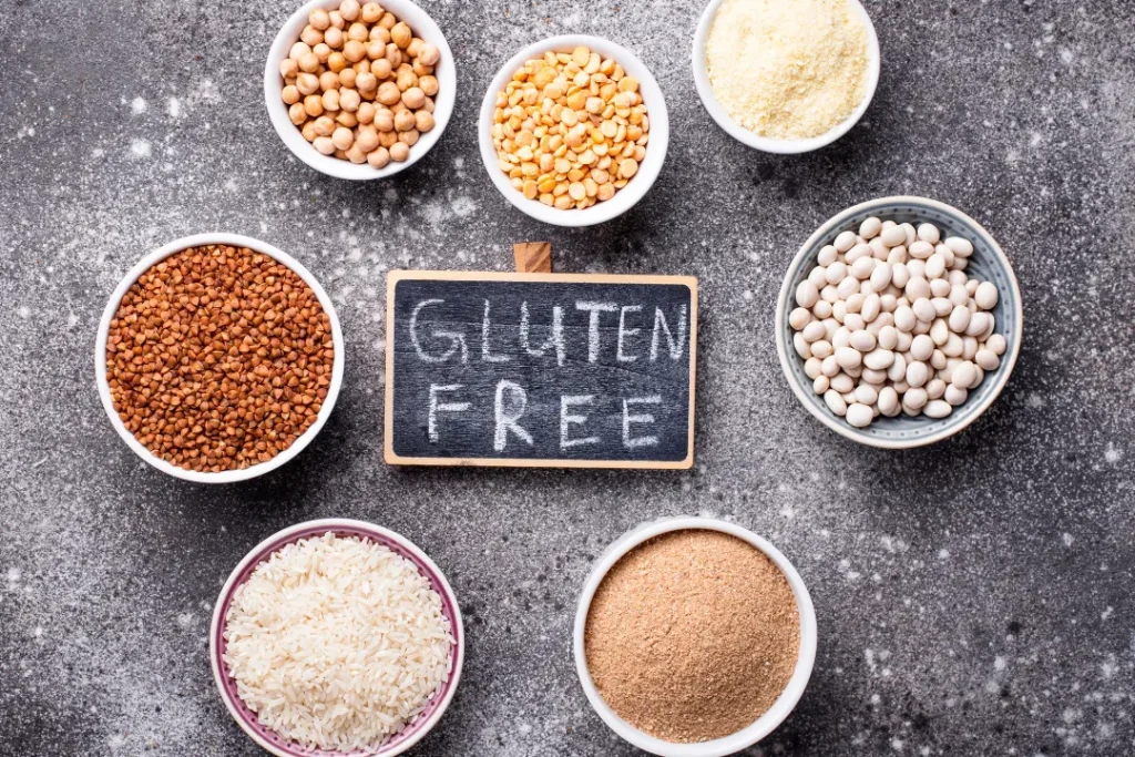 Gluten-free concept with seeds of plants for making plant-based protein powder